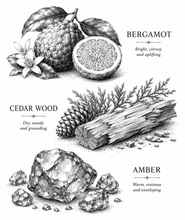 Load image into Gallery viewer, BERGAMOT WOODS | Perfume Oil