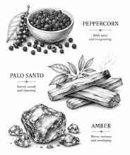 Load image into Gallery viewer, PALO SANTO & PEPPERCORN | Perfume Oil