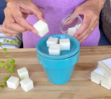 Load image into Gallery viewer, Herb Garden Wax Melts / Fresh Botanical Scents