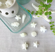 Load image into Gallery viewer, scentsy wax melts
