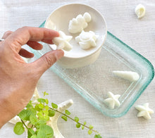 Load image into Gallery viewer, sea wax melts