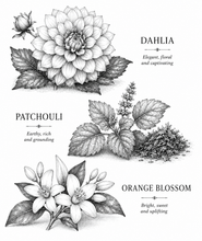 Load image into Gallery viewer, A black and white botanical illustration print featuring three flowers with their names printed beside them: Dahlia, Patchouli, and Orange Blossom, on a plain white background.
