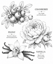 Load image into Gallery viewer, PINK MERINGUE | Perfume Oil
