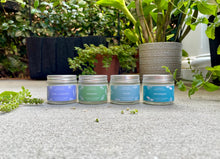 Load image into Gallery viewer, mini garden soy candles 
